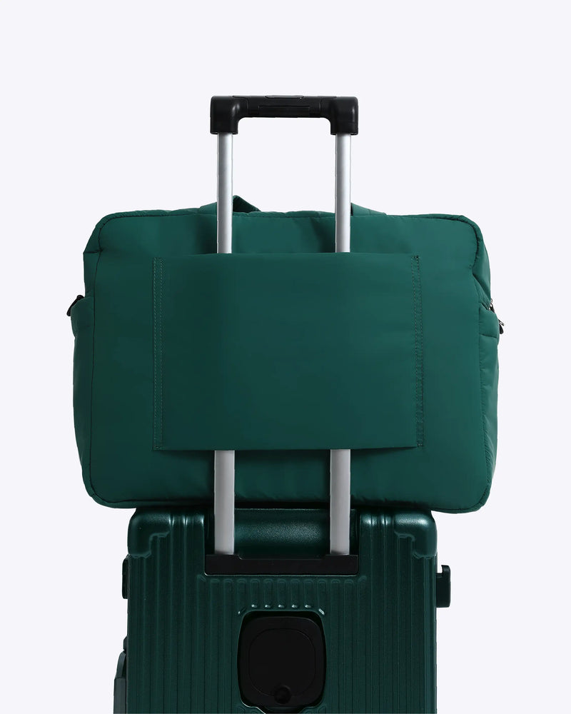 #color_forest green