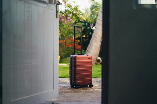 carry on luggage vs checked baggage