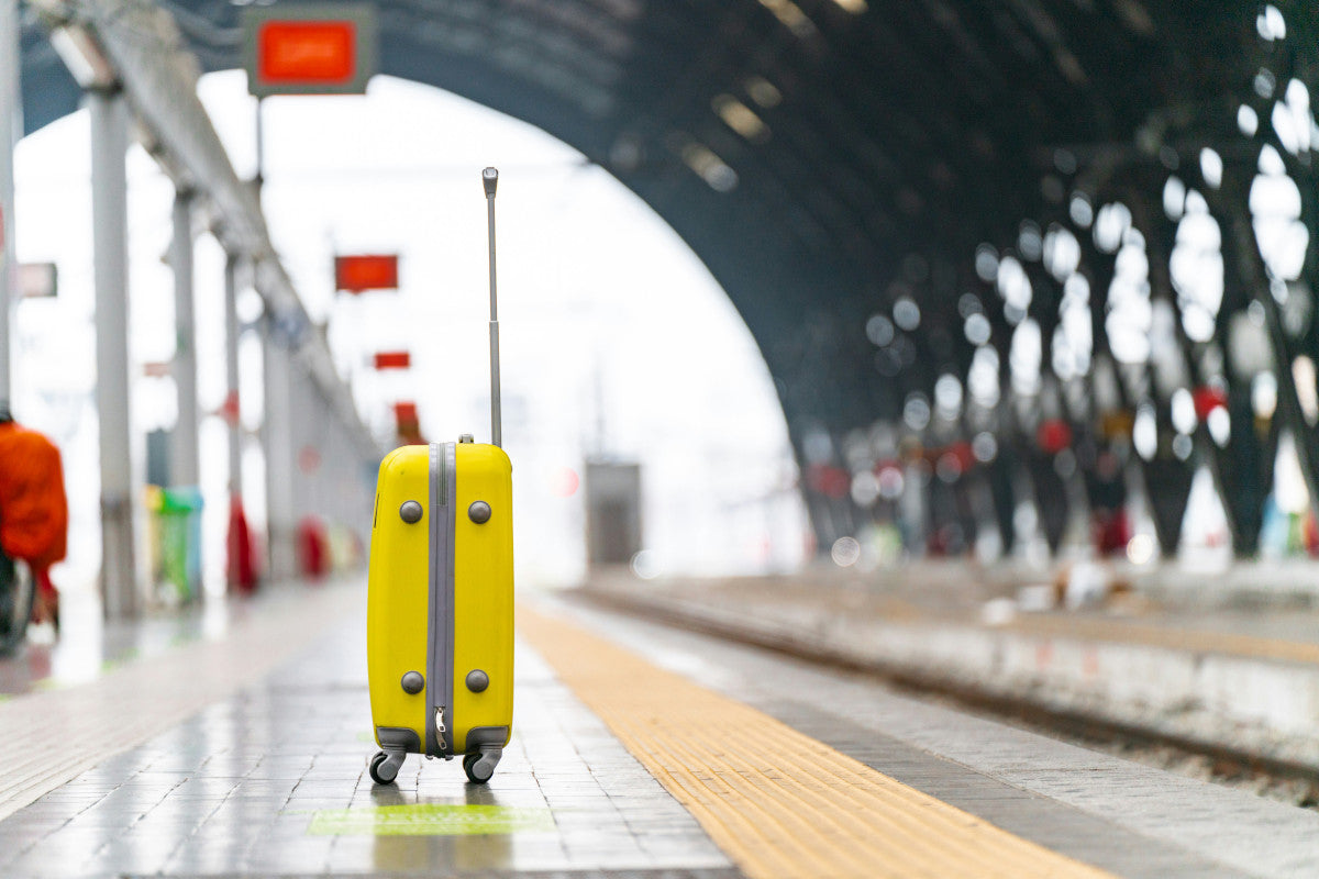 Away From Ridge Ridge vs Away Luggage | How Does Nobl Travel Compare? – nobltravel