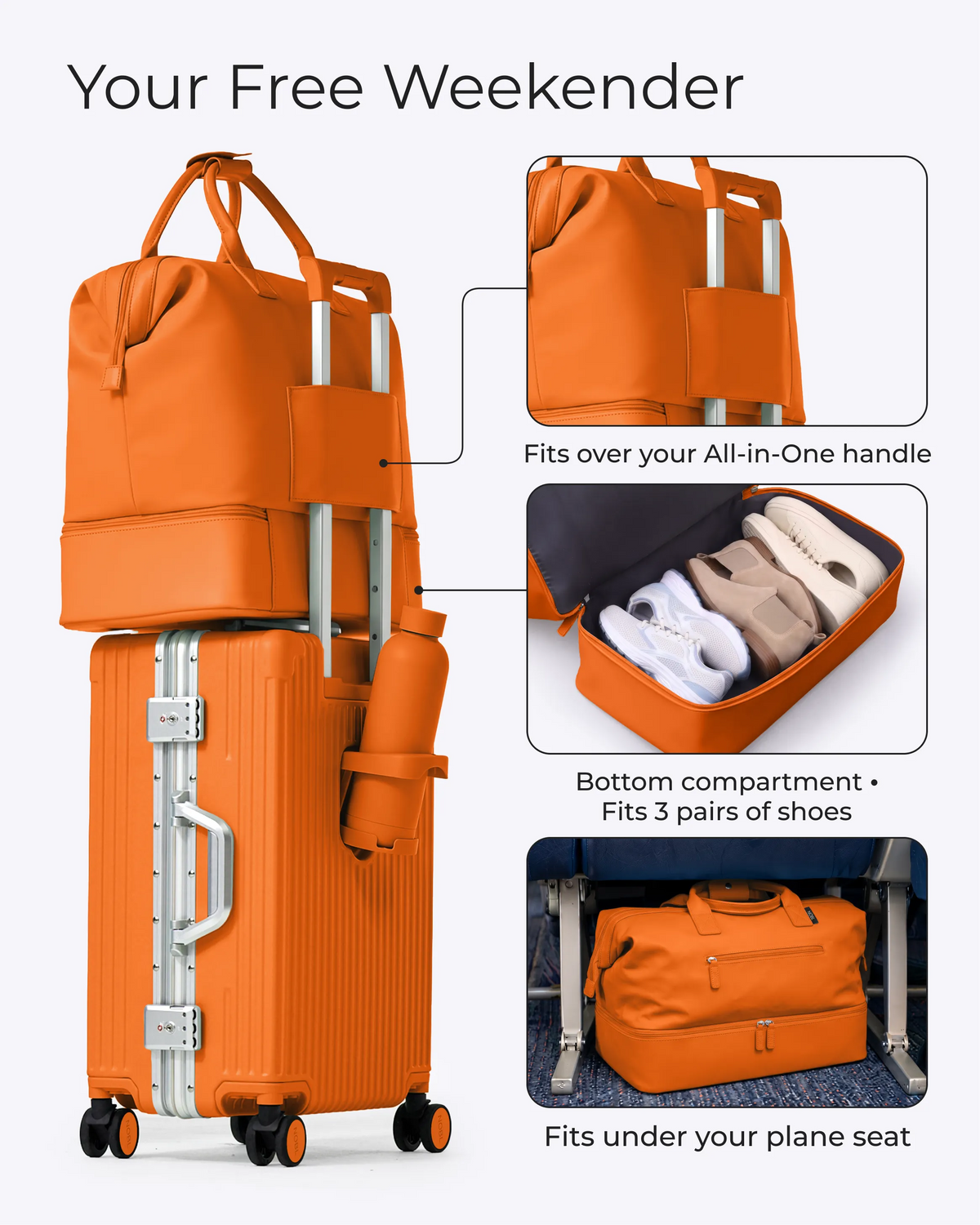 #color_sorbet orange