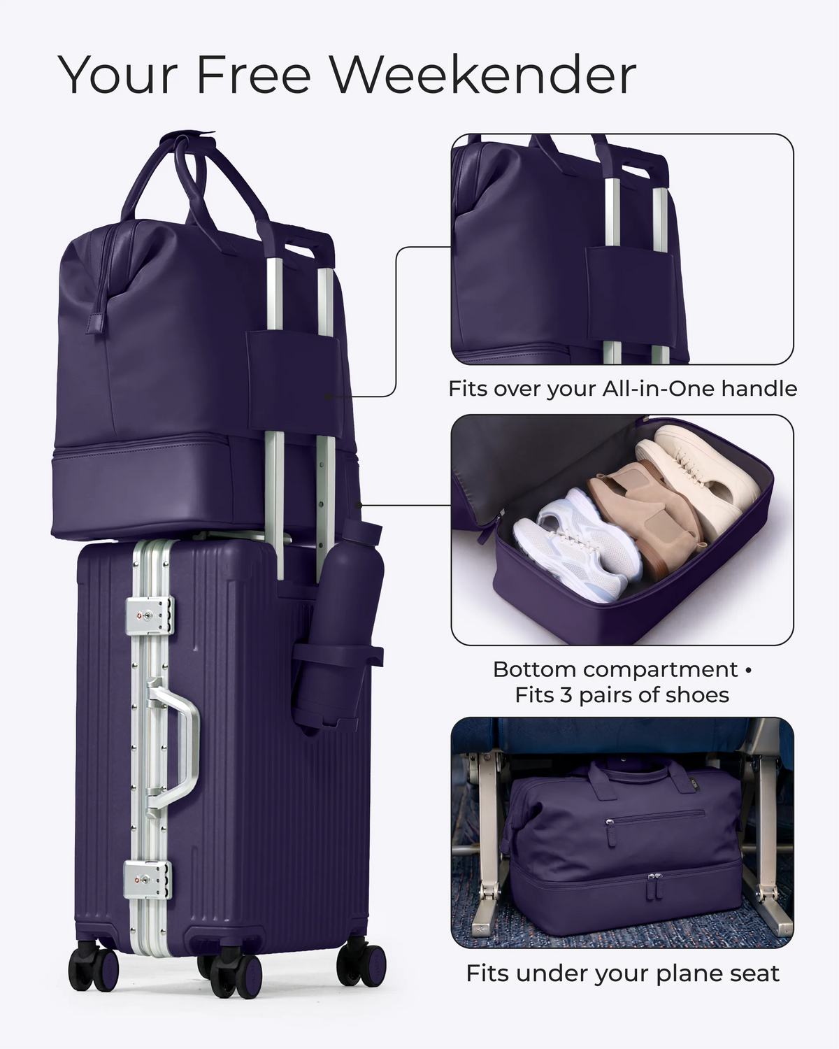 #color_purple