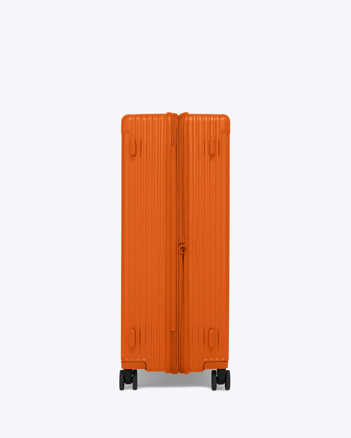 #color_sorbet orange